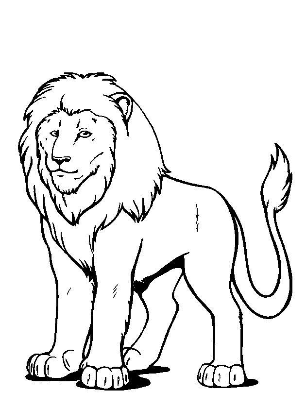 Featured image of post Leone Da Colorare Bambini