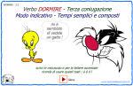Verbi della Terza coniugazione : DORMIRE : Modo Indicativo - Tempi Semplici e Composti