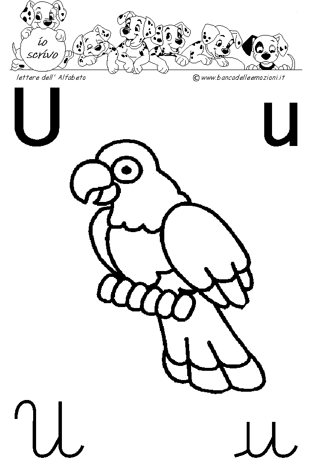 Alfabeto scheda lettera uU